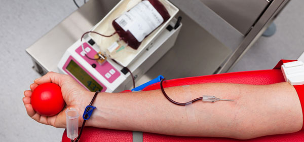 Resultado de imagem para doação de sangue