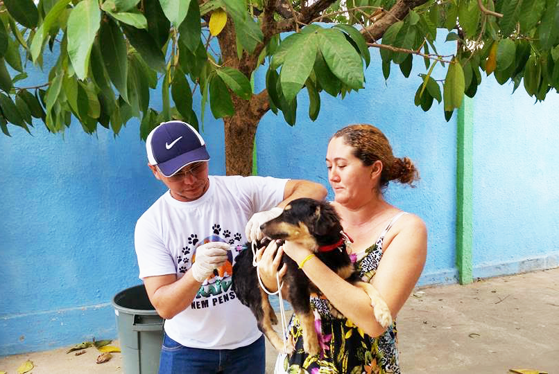 Você está visualizando atualmente Secretaria da Saúde realiza Campanha Antirrábica Animal 2018