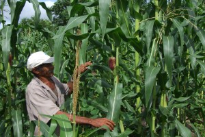 Leia mais sobre o artigo Prefeitura de Maracanaú parabeniza os Agricultores Familiares do Município