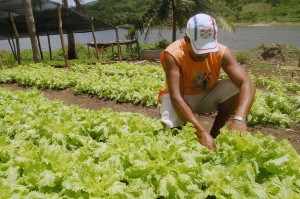 Leia mais sobre o artigo Sasc divulga resultados preliminares dos editais do Programa de Aquisição de Alimentos em Maracanaú