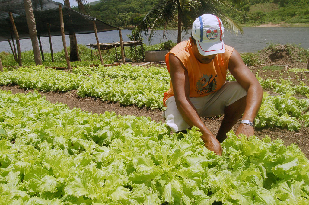 Você está visualizando atualmente Sasc divulga resultados finais dos editais do Programa de Aquisição de Alimentos em Maracanaú