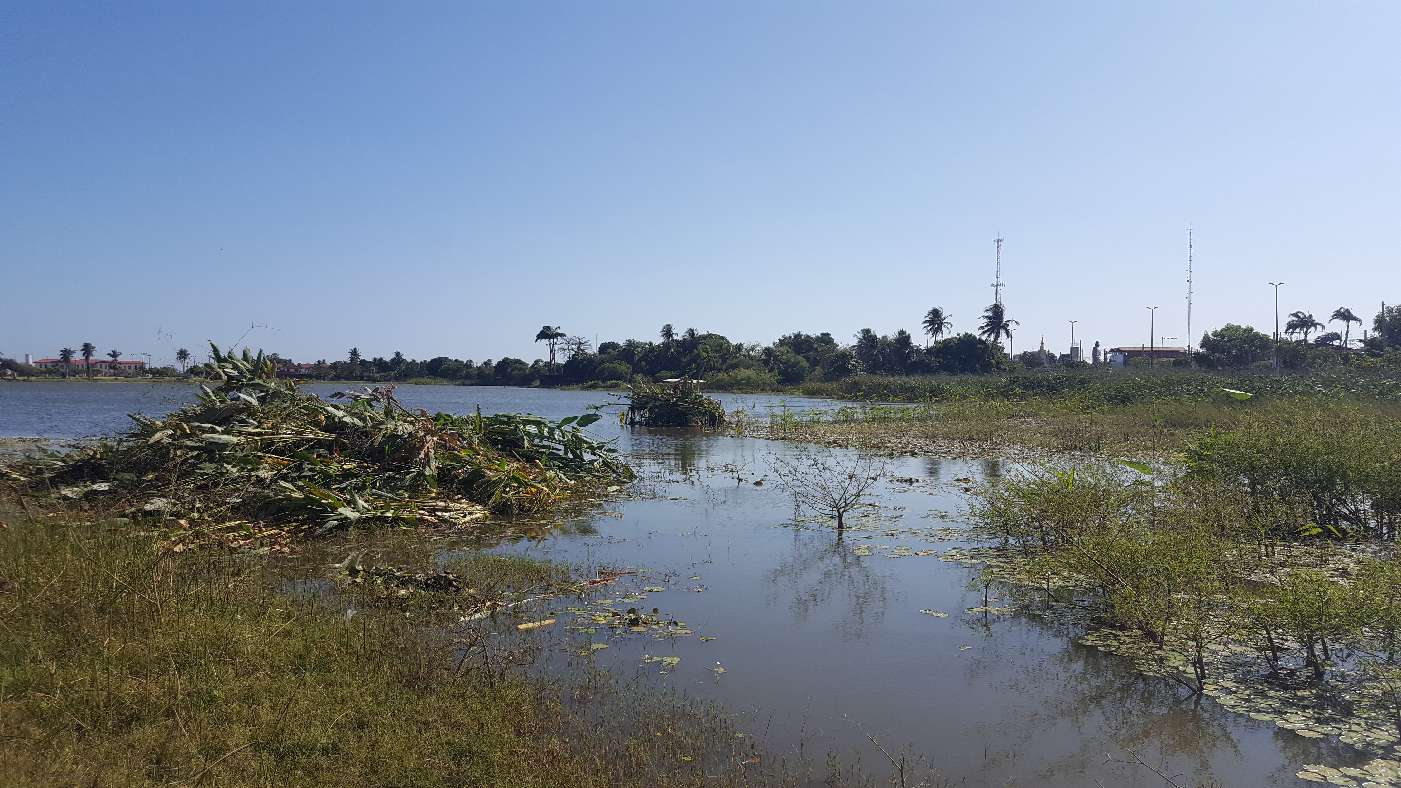 No momento, você está visualizando Prefeitura realiza limpeza da Lagoa de Maracanaú