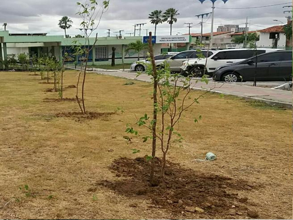 No momento, você está visualizando Hospital da Mulher recebe plantio de árvores