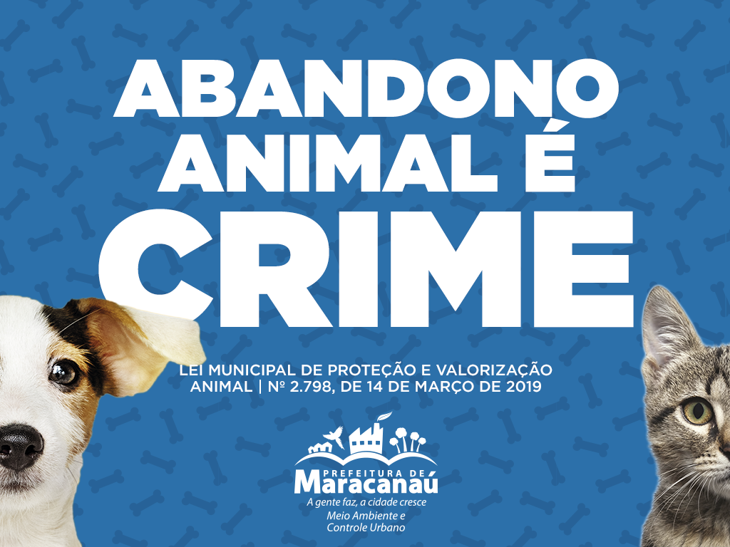 Você está visualizando atualmente Semam realiza “1ª Blitz Animal em Maracanaú”