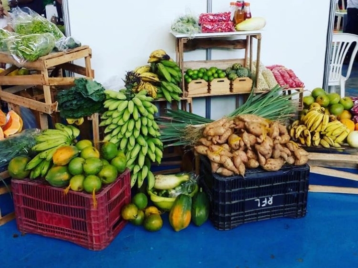 No momento, você está visualizando Feira de Alimentos Orgânicos será realizada, através de entregas durante o isolamento social