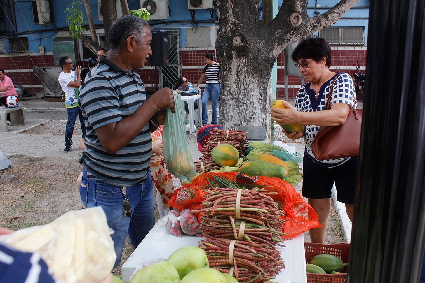 Leia mais sobre o artigo Semam realiza mais uma edição da Feira de Alimentos Orgânicos