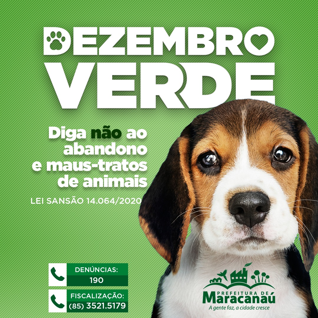 No momento, você está visualizando Dezembro Verde 2020 alerta sobre maus-tratos e abandono de animais