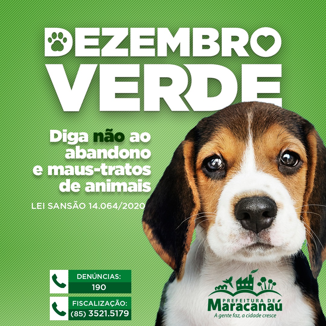 Leia mais sobre o artigo Dezembro Verde 2020 alerta sobre maus-tratos e abandono de animais