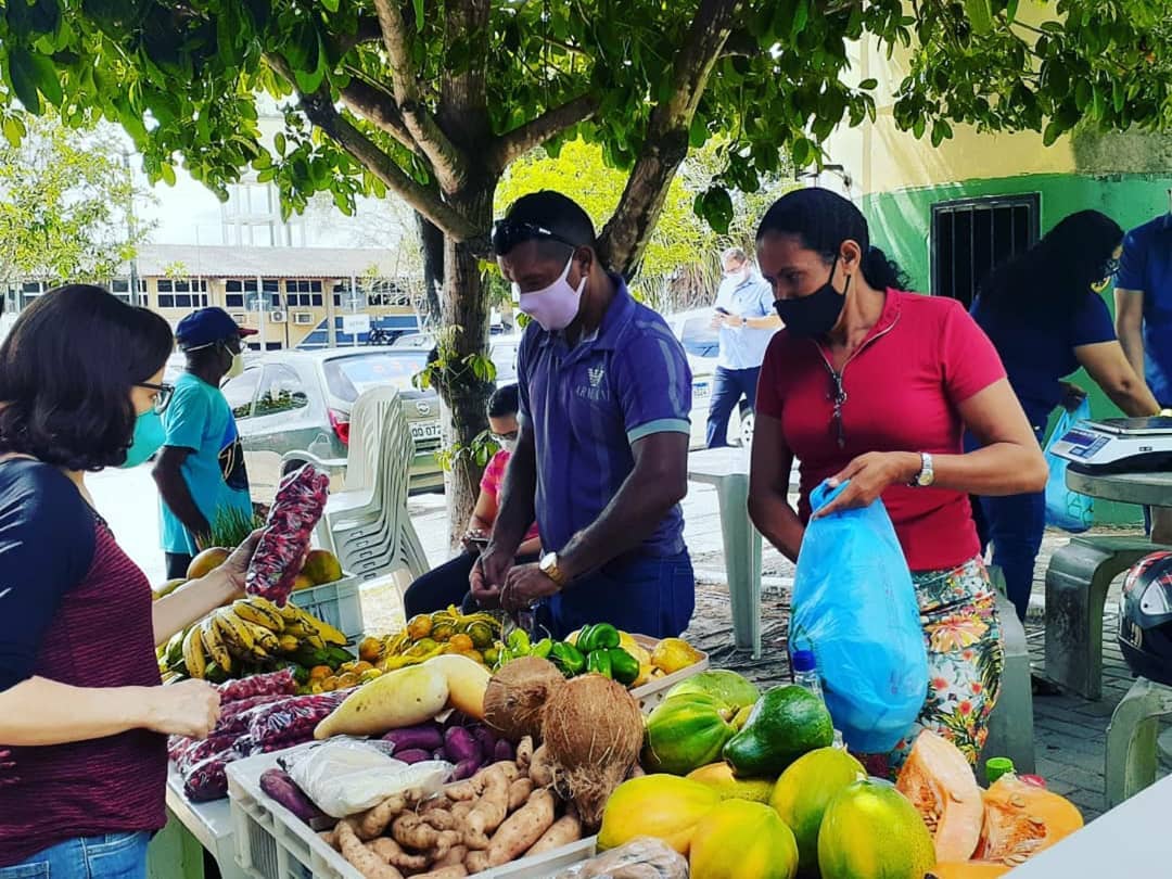 Leia mais sobre o artigo Semam realiza Feira de Alimentos Orgânicos, nesta sexta-feira, 15 de janeiro