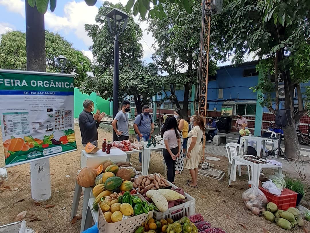 Leia mais sobre o artigo Semam realiza mais uma edição Feira de Alimentos Orgânicos, nesta sexta-feira, 5 de fevereiro