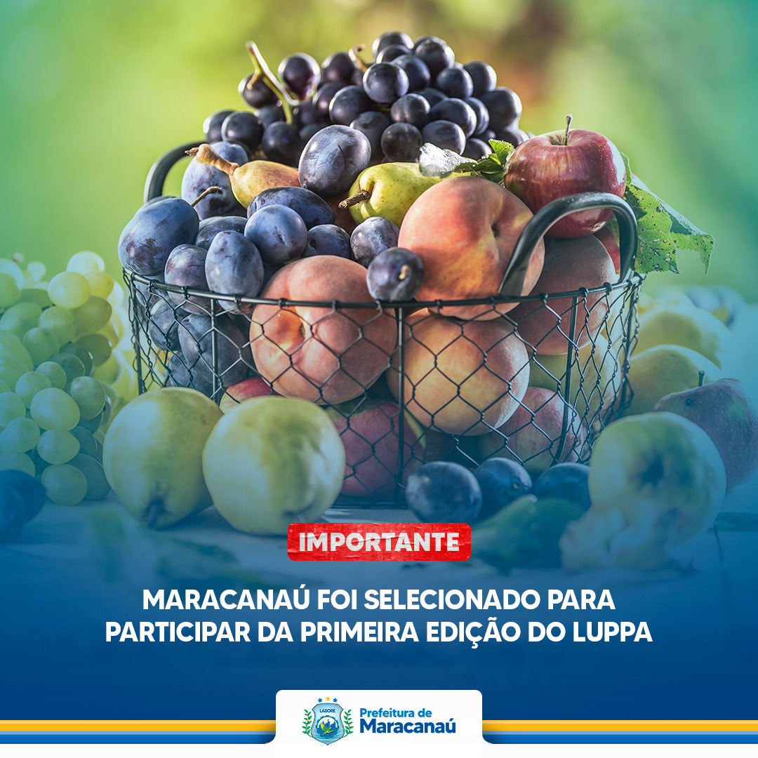 No momento, você está visualizando Maracanaú foi selecionado para participar da primeira edição do Luppa