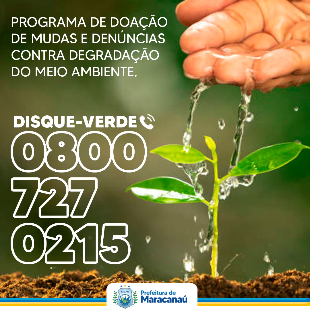 No momento, você está visualizando Semam disponibiliza mudas de árvores para doação e divulga Disque-Verde
