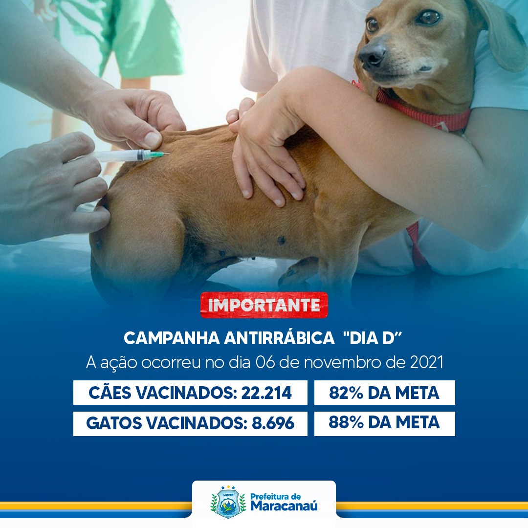 You are currently viewing Maracanaú recebe nova ação de vacinação antirrábica neste sábado (13)