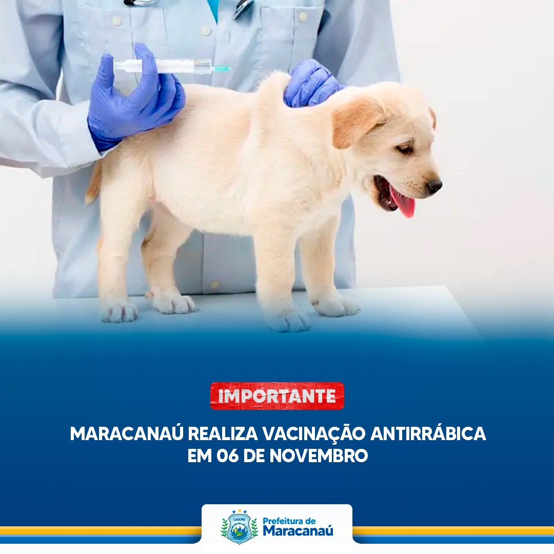 Leia mais sobre o artigo Maracanaú realiza vacinação antirrábica em 06 de novembro