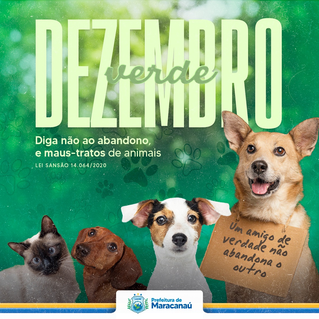 Você está visualizando atualmente Dezembro Verde alerta sobre maus-tratos e abandono de animais