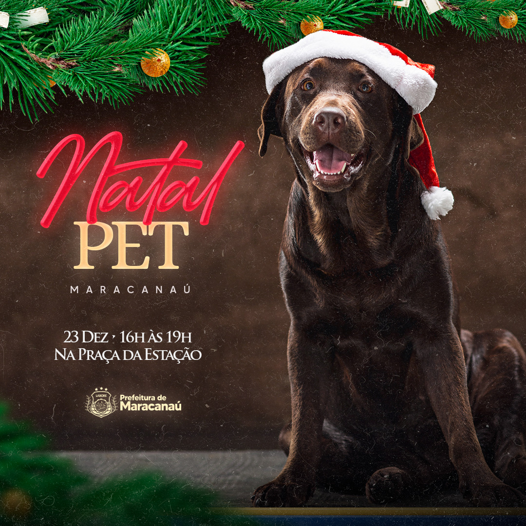 Leia mais sobre o artigo Coordenadoria de Bem-Estar Animal realiza mais uma edição do “Natal Pet”