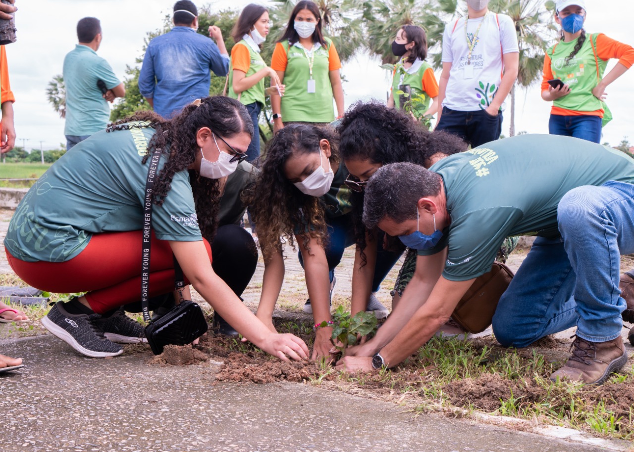 Leia mais sobre o artigo Semam promove plantio de mudas em comemoração à Festa Anual das Árvores 2022