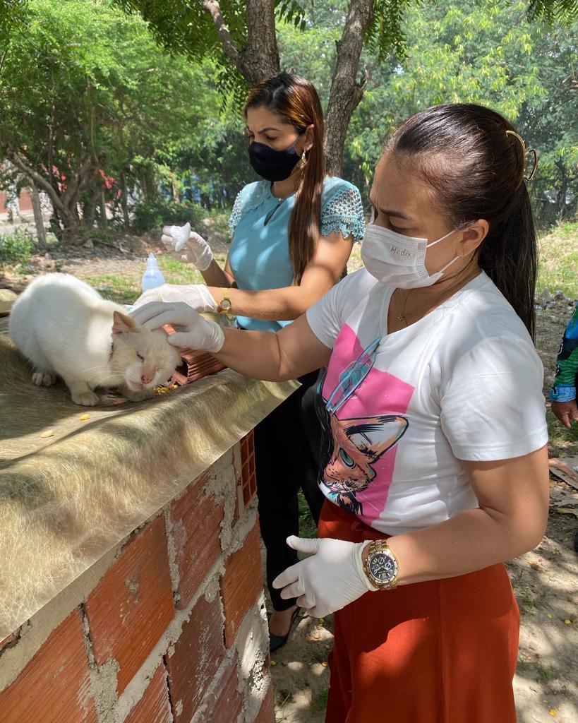 Read more about the article Prefeitura realiza ações de bem-estar animal nos bairros do Município