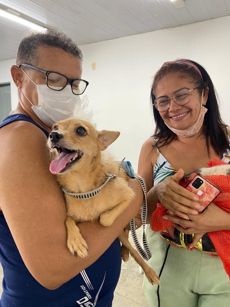 Read more about the article Secretaria de Bem-Estar Animal realiza atendimentos veterinários no bairro Novo Oriente