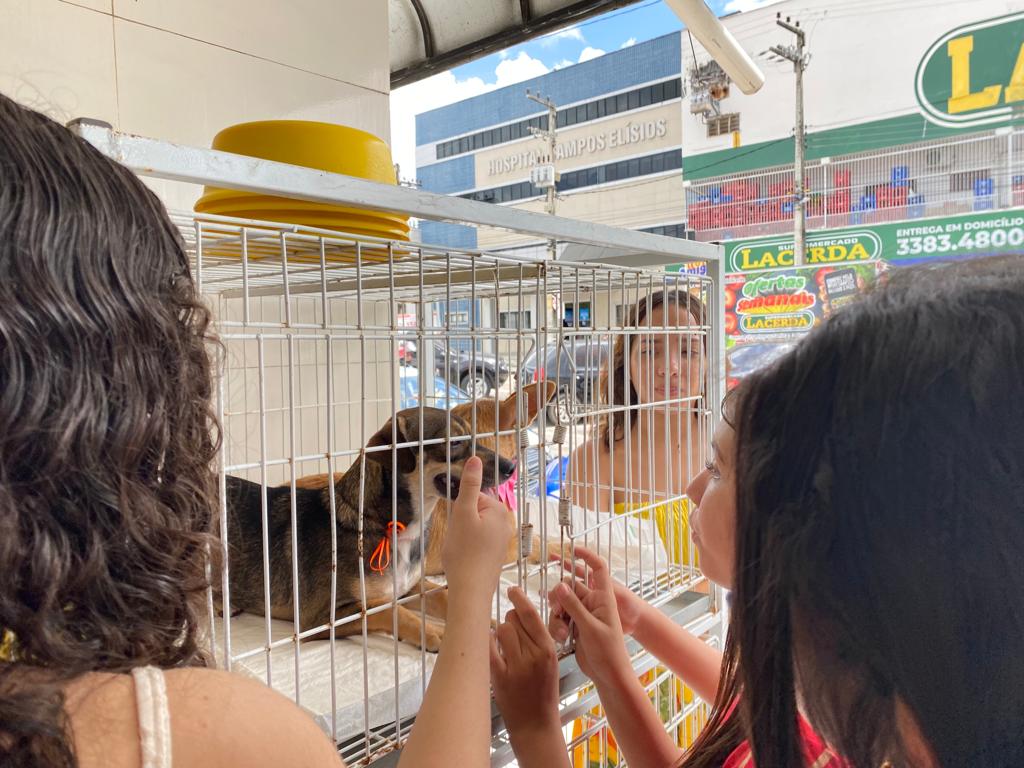 Você está visualizando atualmente Edição do “Pet Day” é realizado em Maracanaú