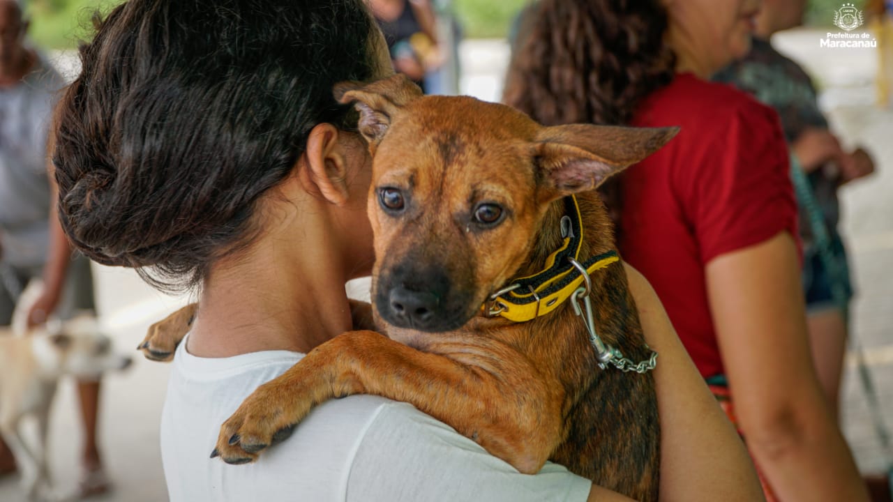 Você está visualizando atualmente Secretaria de Bem-Estar Animal realiza mais uma edição do “Pet Day”