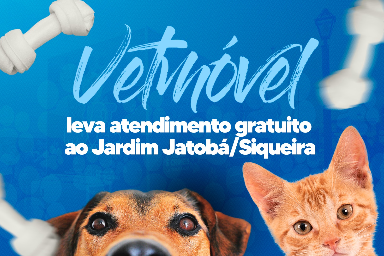 Você está visualizando atualmente VetMóvel leva atendimento veterinário gratuito ao Jardim Jatobá