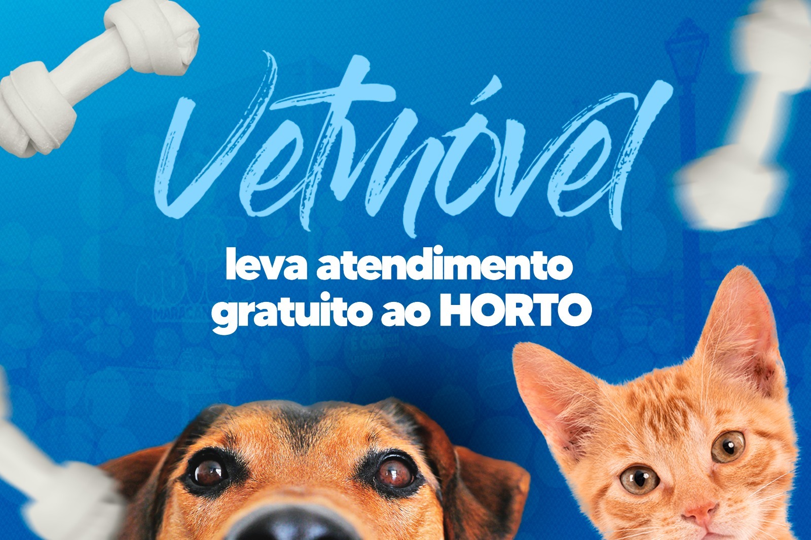 Você está visualizando atualmente VetMóvel leva atendimento veterinário gratuito ao Horto