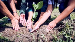Leia mais sobre o artigo Semam realiza ecofaxina e plantio de mudas em comemoração à Festa Anual das Árvores 2023
