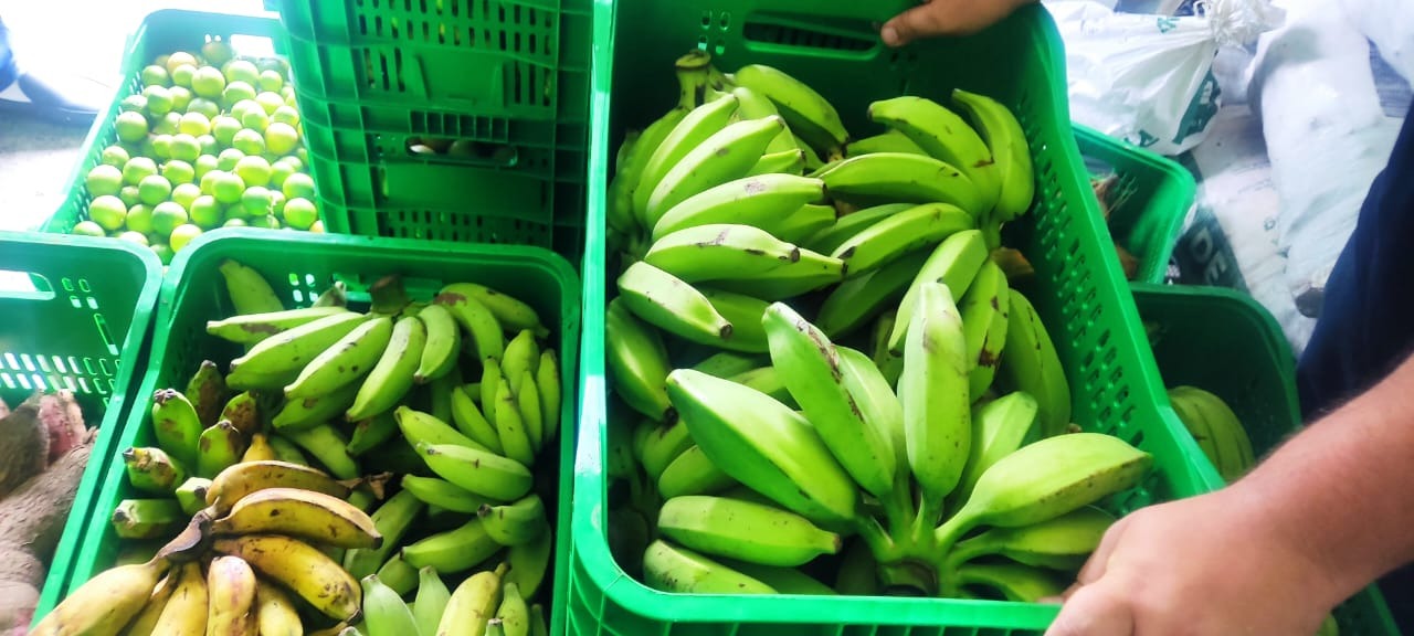 No momento você está vendo Sasc inicia captação de alimentos, por meio do Programa Alimenta Brasil