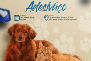 Read more about the article Prefeitura realiza Campanha de Conscientização “Eu Freio para Animais”