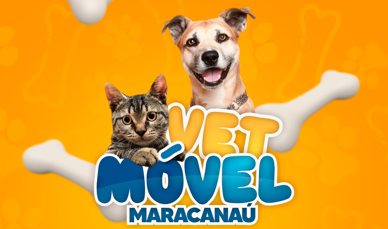 No momento você está vendo VetMóvel leva atendimento veterinário gratuito ao bairro Maracananzinho