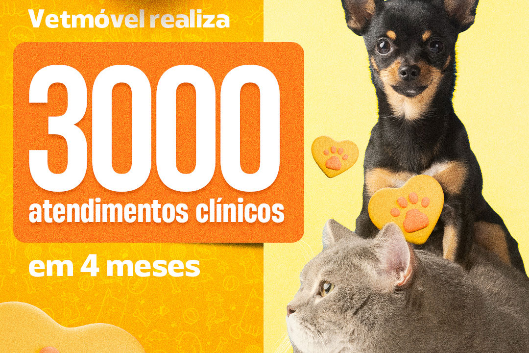No momento, você está visualizando VetMóvel realiza 3 mil atendimentos clínicos em 4 meses