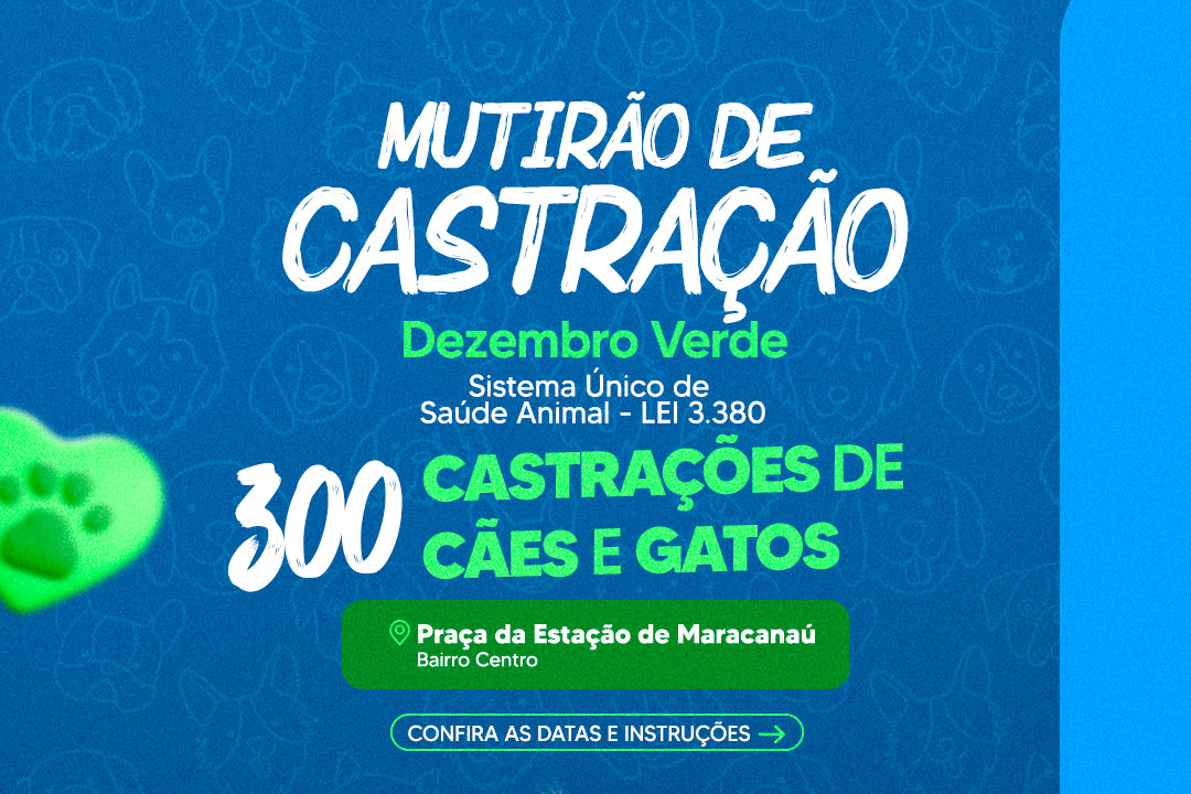 No momento, você está visualizando Prefeitura realiza Mutirão de Castração para Cães e Gatos