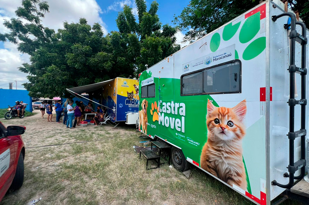 Você está visualizando atualmente Prefeitura realiza mais um Mutirão de Castração de cães e gatos