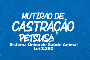 Leia mais sobre o artigo Prefeitura realiza mais um “Mutirão de Castração para Cães e Gatos”