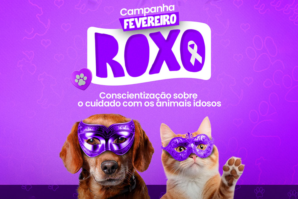 Arte gráfica que traz um fundo azul com cachorro e gato, com informações sobre a “Campanha Fevereiro Roxo”, destinada à conscientização sobre o cuidado com os animais idosos