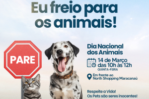 Leia mais sobre o artigo Prefeitura realiza campanha de conscientização contra atropelamento de animais