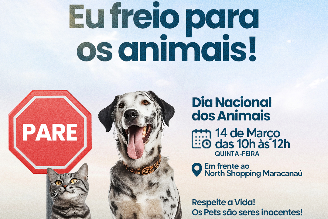 Você está visualizando atualmente Prefeitura realiza campanha de conscientização contra atropelamento de animais