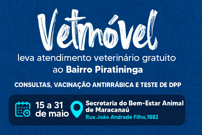 No momento, você está visualizando VetMóvel realiza atendimento veterinário gratuito na Secretaria do Bem-Estar Animal