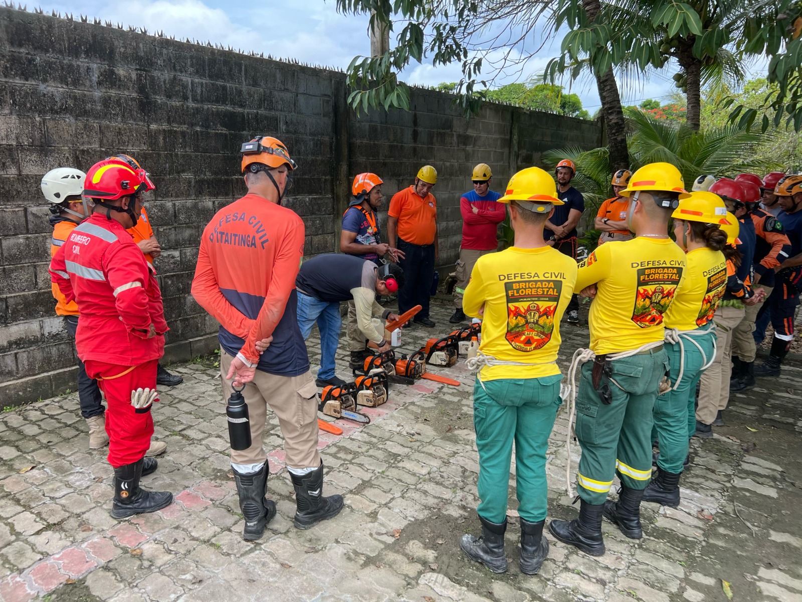 No momento, você está visualizando Defesa Civil de Maracanaú participa de curso de corte e poda de árvores
